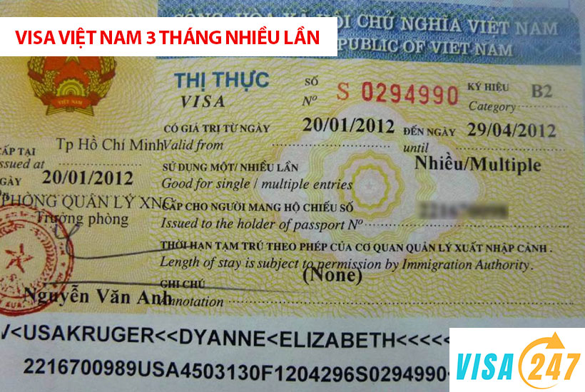 Cấp mới visa Việt Nam loại 3 tháng nhiều lần