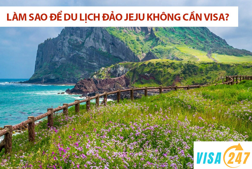 Hướng dẫn du lịch đảo Jeju Hàn Quốc không cần visa